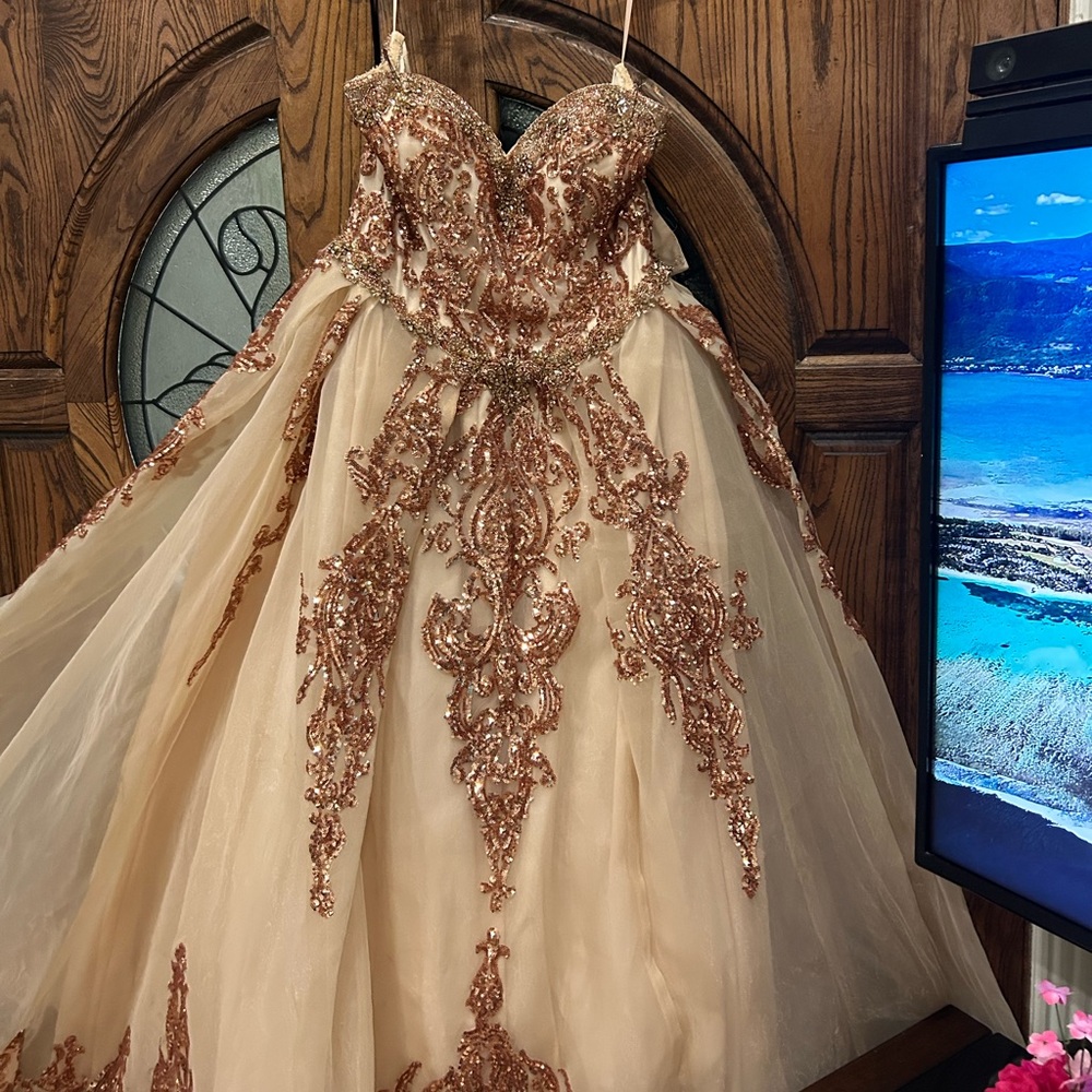 Elegant Gold and Bronze Embellished Gowned